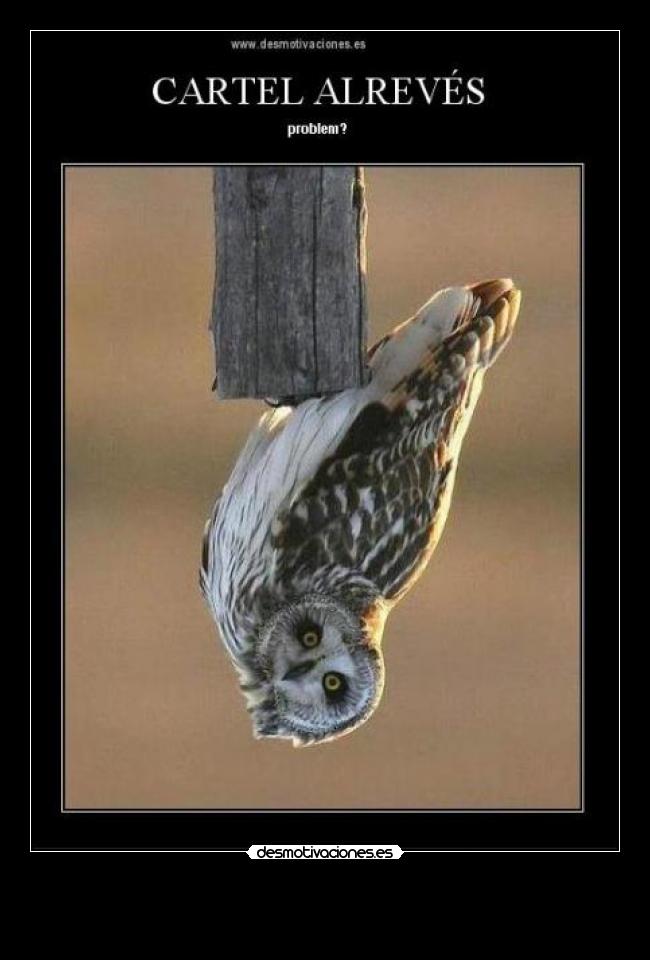 carteles cartel alreves problem girar acv cabeza buho desmotivaciones