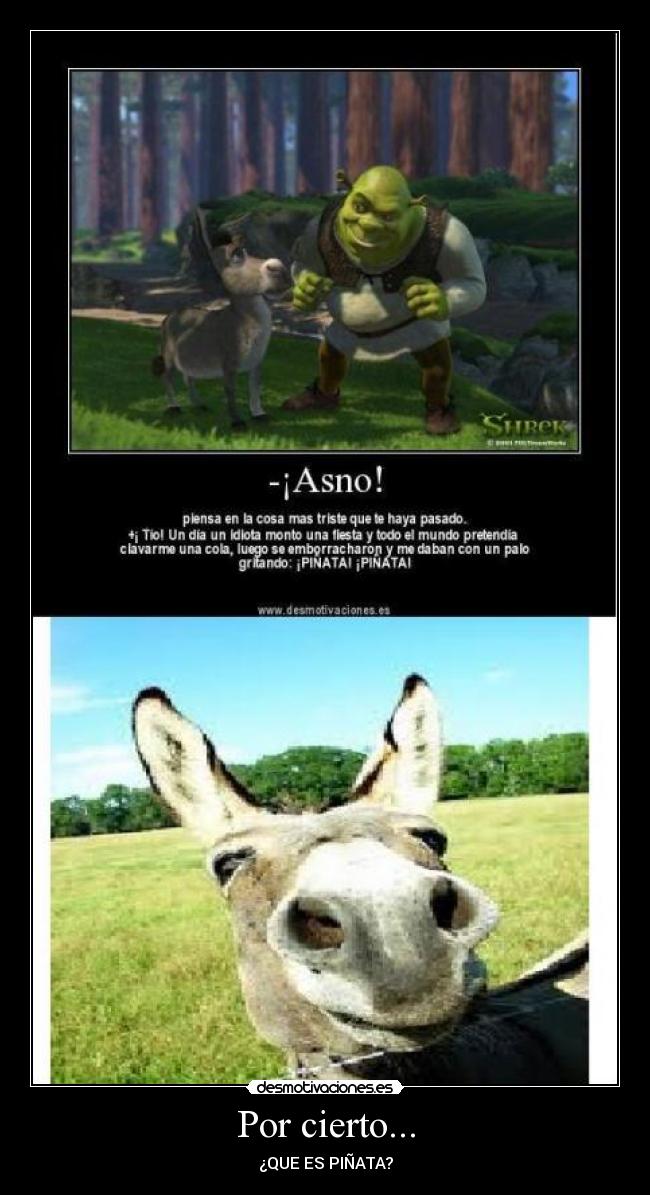 Por cierto... - ¿QUE ES PIÑATA?