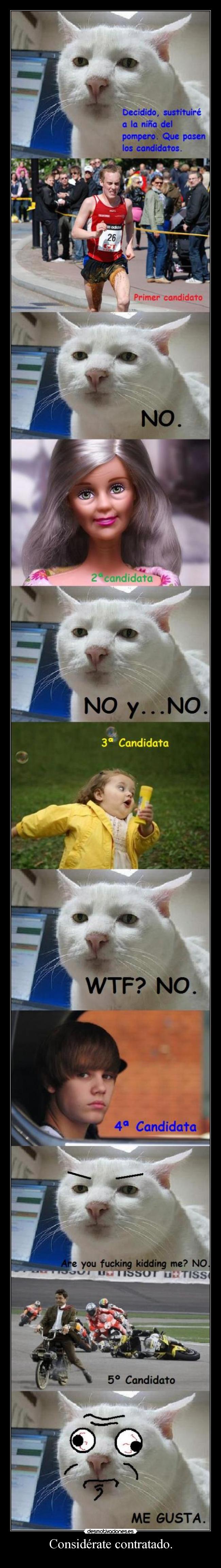 Considérate contratado. -