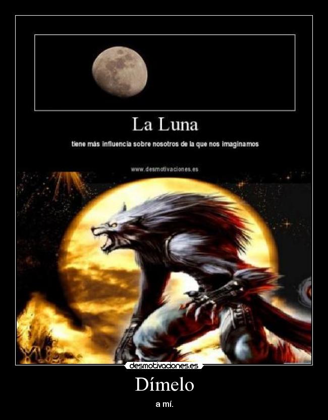 carteles hombre lobo desmotivaciones