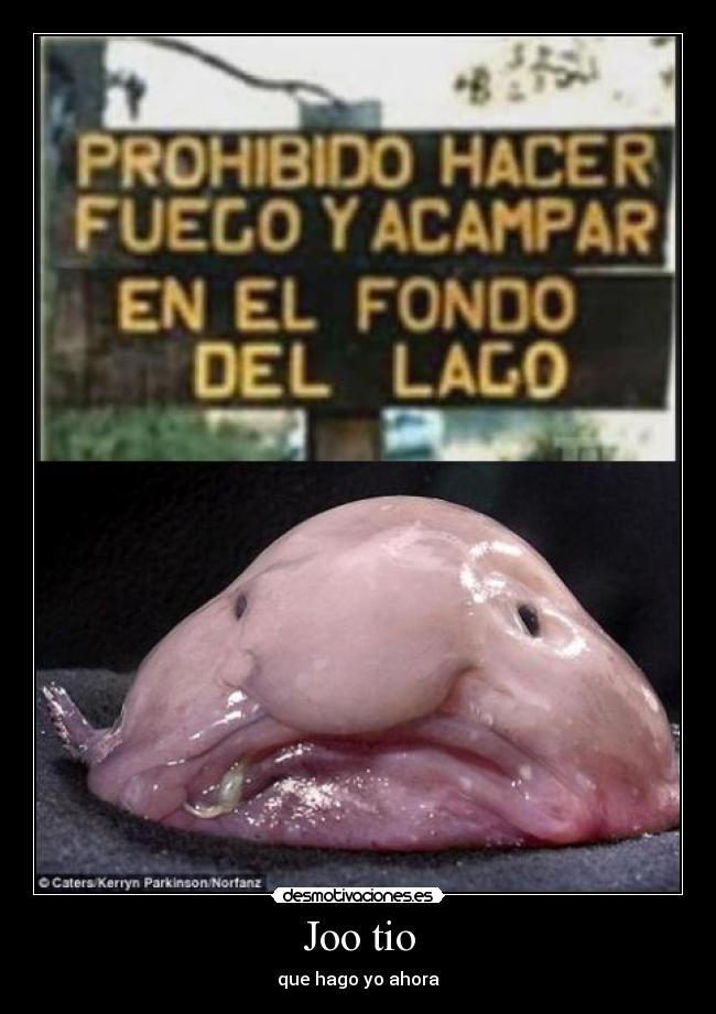 Joo tio - que hago yo ahora