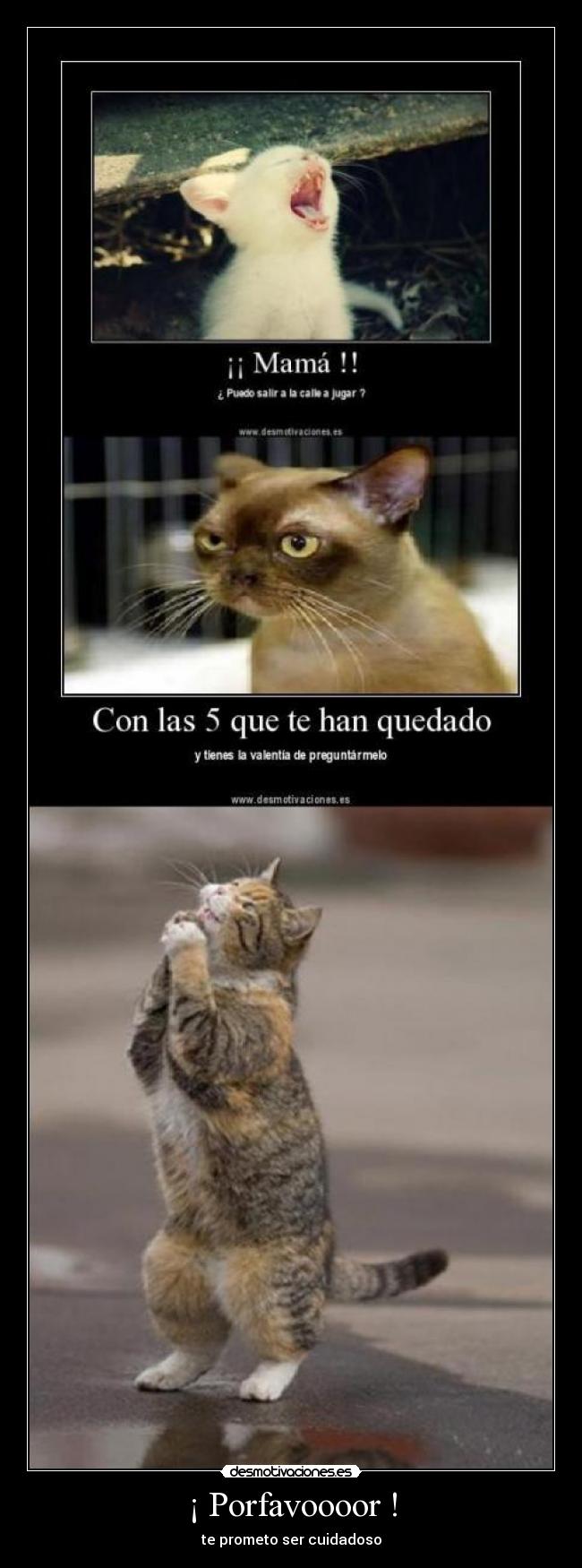 carteles gato desmotivaciones