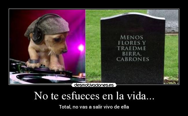 carteles vida desmotivaciones desmotivaciones