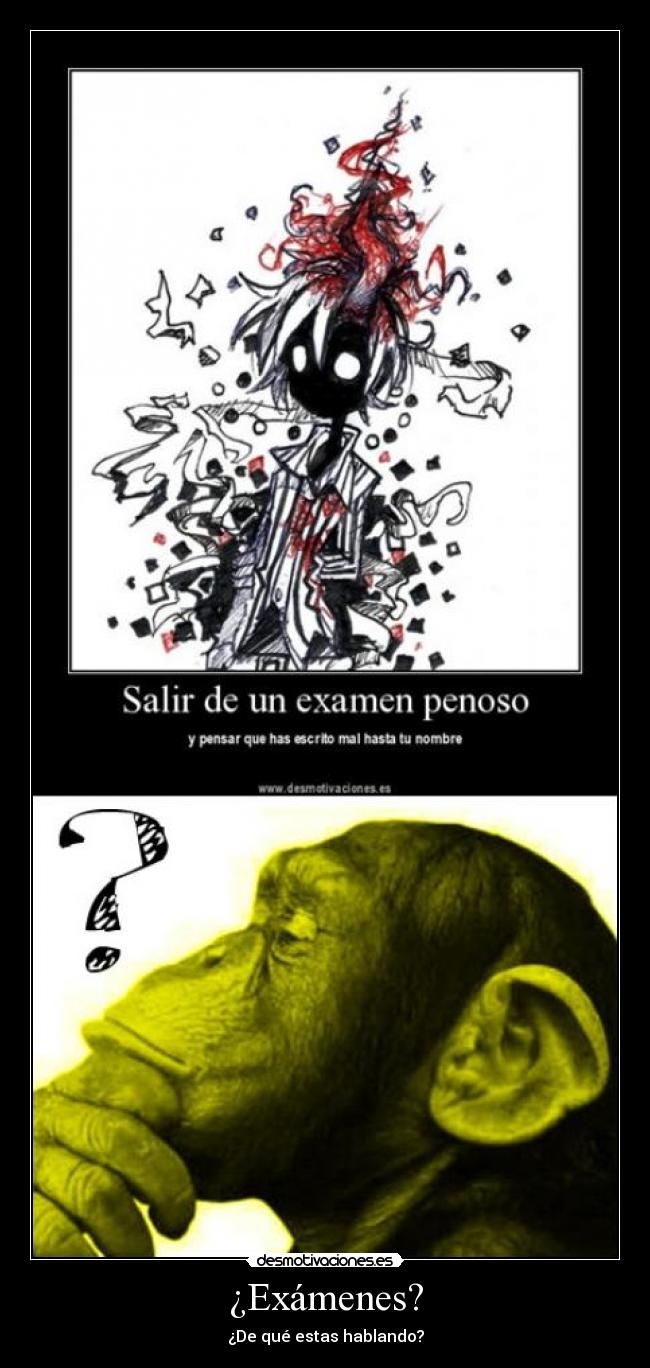 ¿Exámenes? - ¿De qué estas hablando?