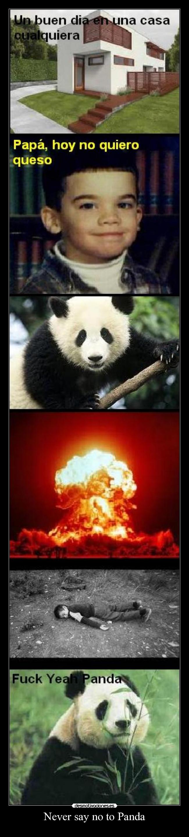 Never say no to Panda -