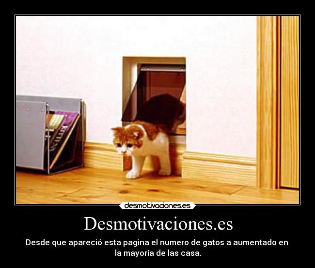Desmotivaciones.es - Desde que apareció esta pagina el numero de gatos a aumentado en 
la mayoría de las casa.