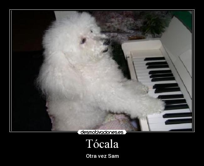 Tócala - Otra vez Sam