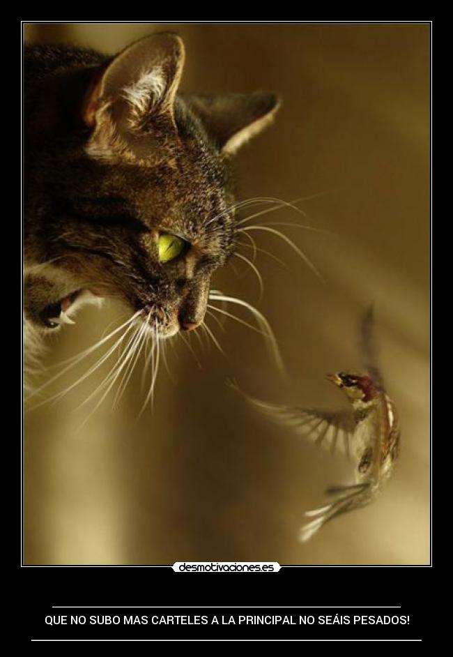 _________________________ - QUE NO SUBO MAS CARTELES A LA PRINCIPAL NO SEÁIS PESADOS!
______________________________________________________________________