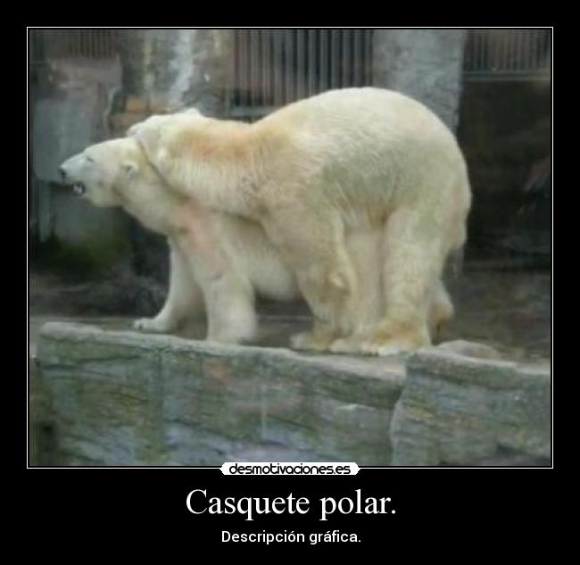 Casquete polar. - Descripción gráfica.