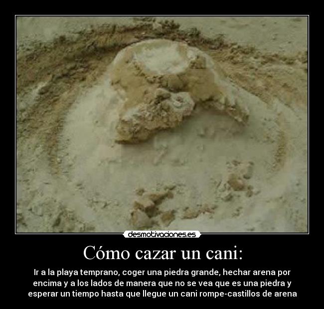 Cómo cazar un cani: - Ir a la playa temprano, coger una piedra grande, hechar arena por
encima y a los lados de manera que no se vea que es una piedra y
esperar un tiempo hasta que llegue un cani rompe-castillos de arena