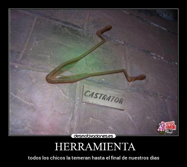 HERRAMIENTA -