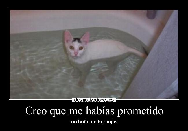 Creo que me habías prometido - un baño de burbujas