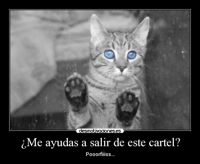 ¿Me ayudas a salir de este cartel? -