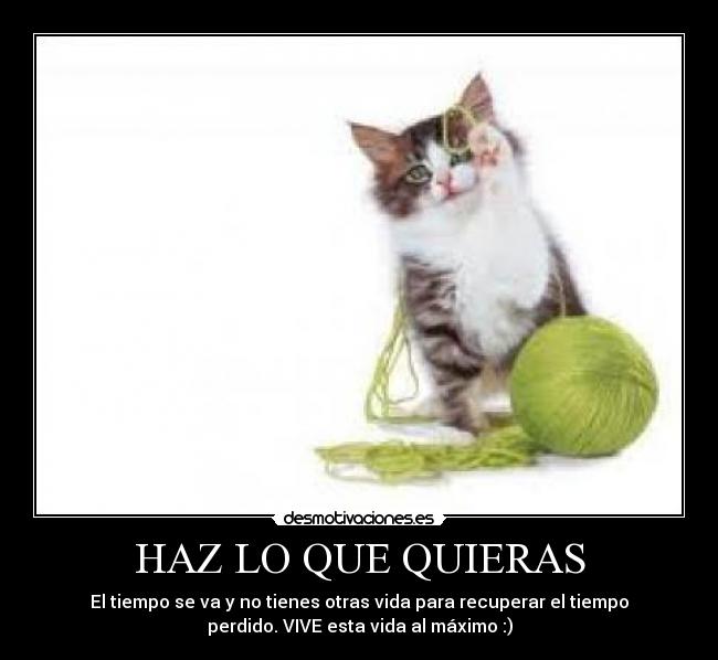 HAZ LO QUE QUIERAS - 