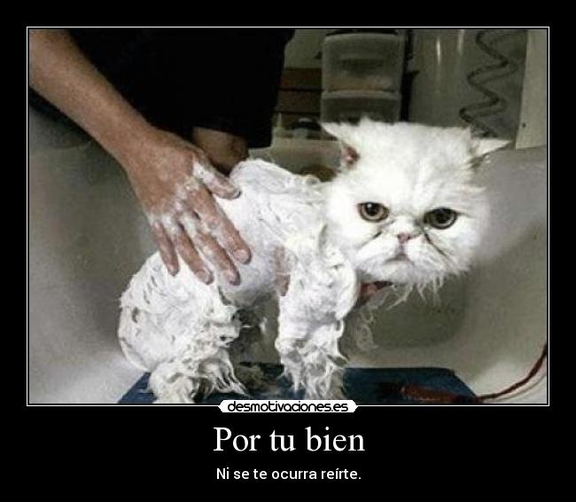 Por tu bien - 