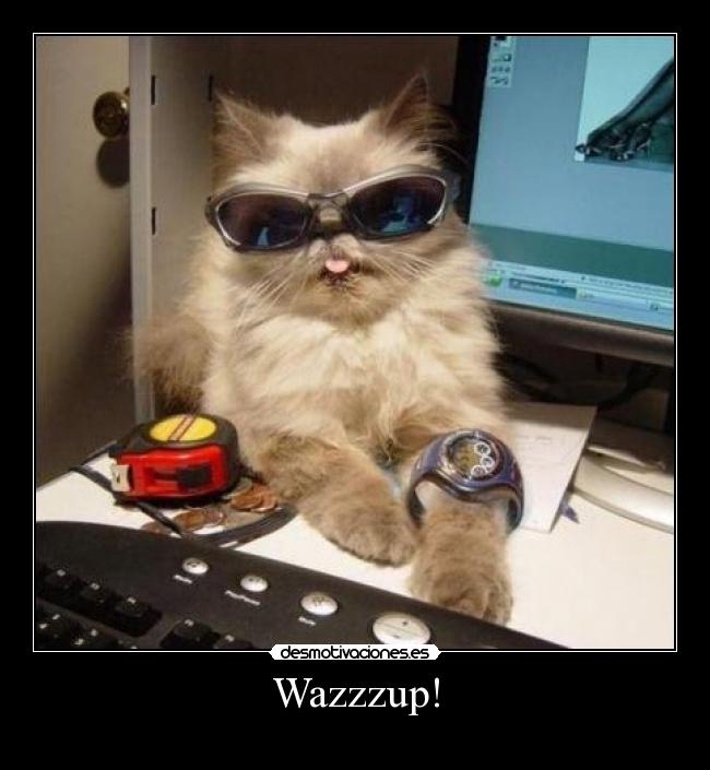 Wazzzup! - 