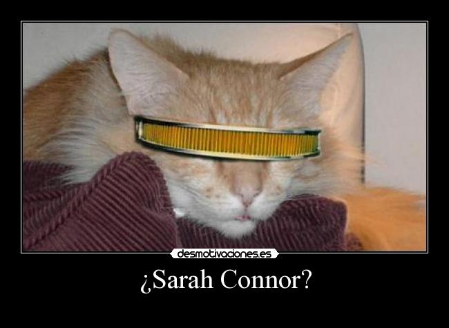 ¿Sarah Connor? - 