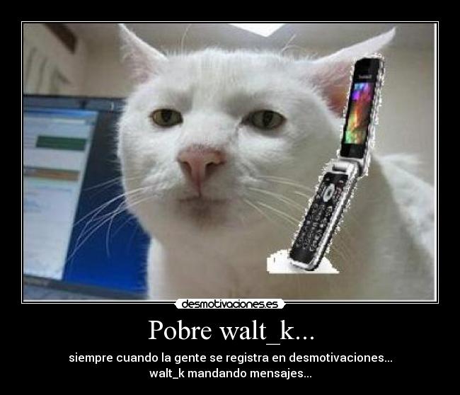 Pobre walt_k... -