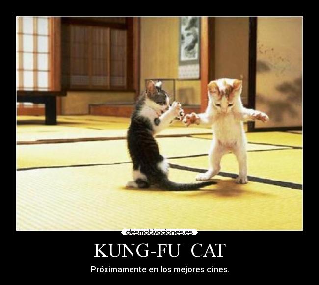 KUNG-FU CAT - Próximamente en los mejores cines.