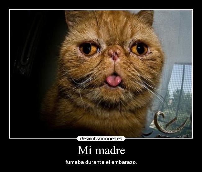 Mi madre - 