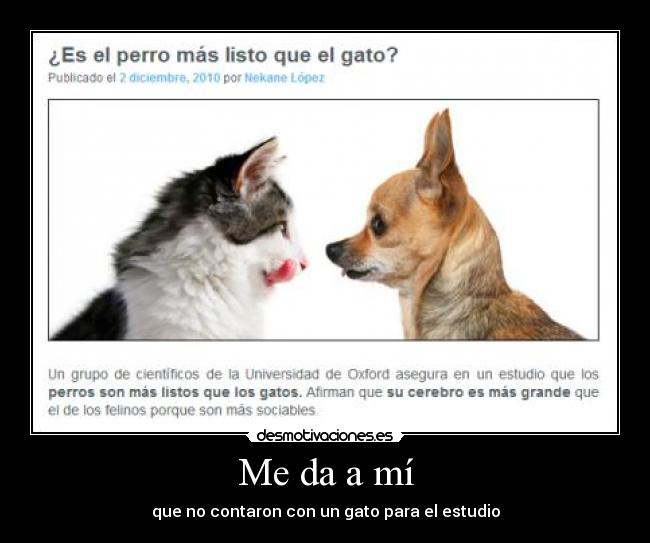 Me da a mí - que no contaron con un gato para el estudio