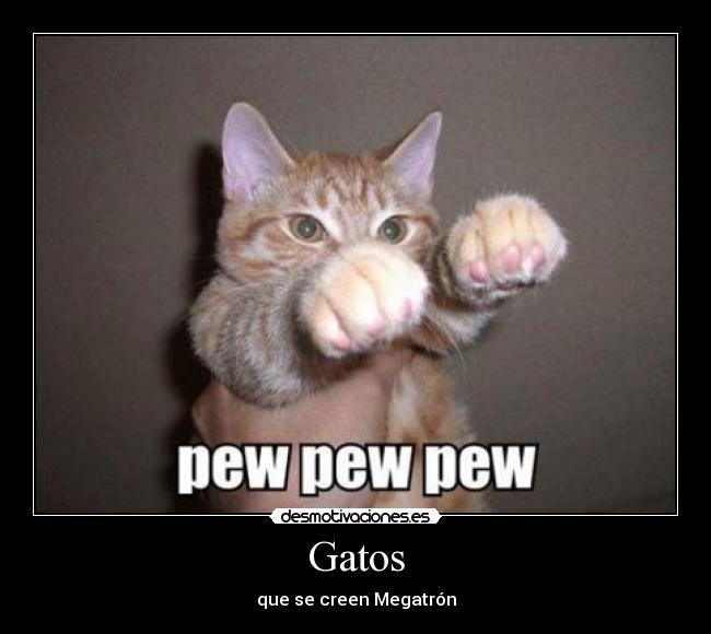 Gatos - que se creen Megatrón