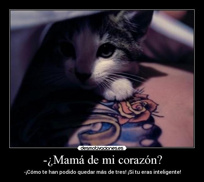-¿Mamá de mi corazón? - -¡Cómo te han podido quedar más de tres! ¡Si tu eras inteligente!