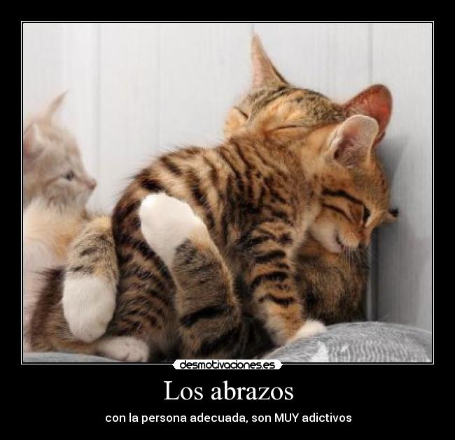 Los abrazos - con la persona adecuada, son MUY adictivos