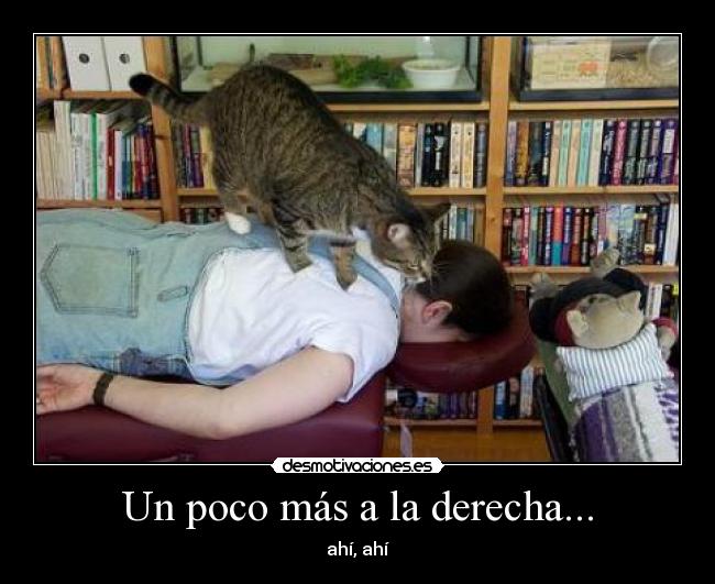 Un poco más a la derecha... - 