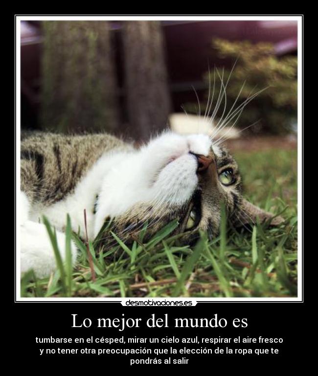 Lo mejor del mundo es -