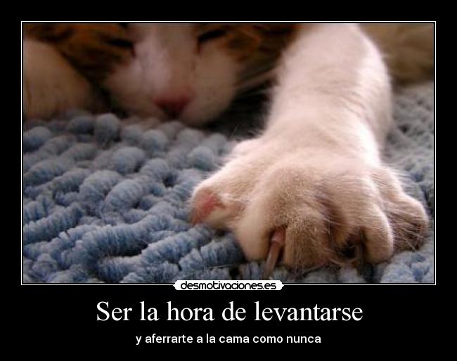 Ser la hora de levantarse - y aferrarte a la cama como nunca