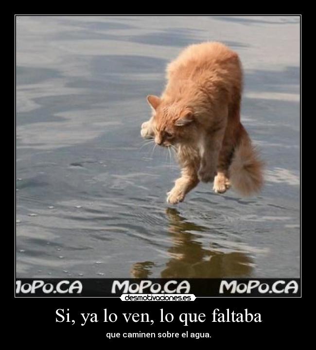 Si, ya lo ven, lo que faltaba -