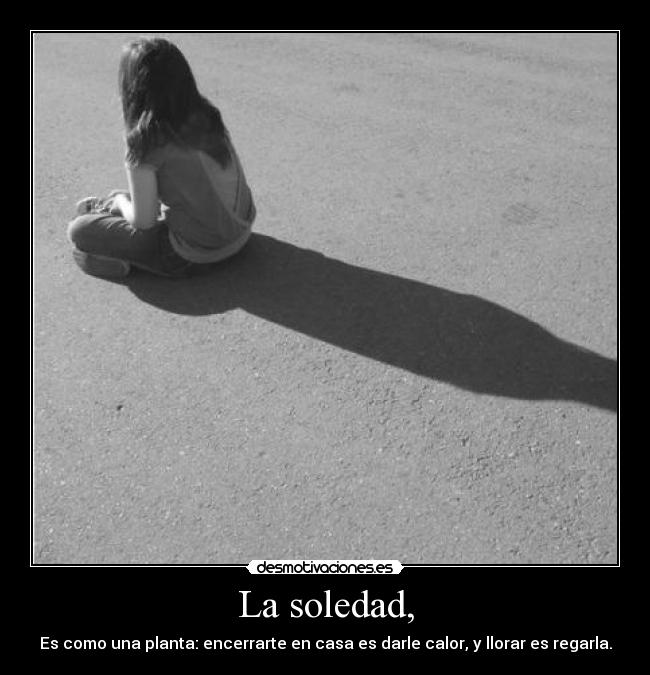 La soledad, - Es como una planta: encerrarte en casa es darle calor, y llorar es regarla.