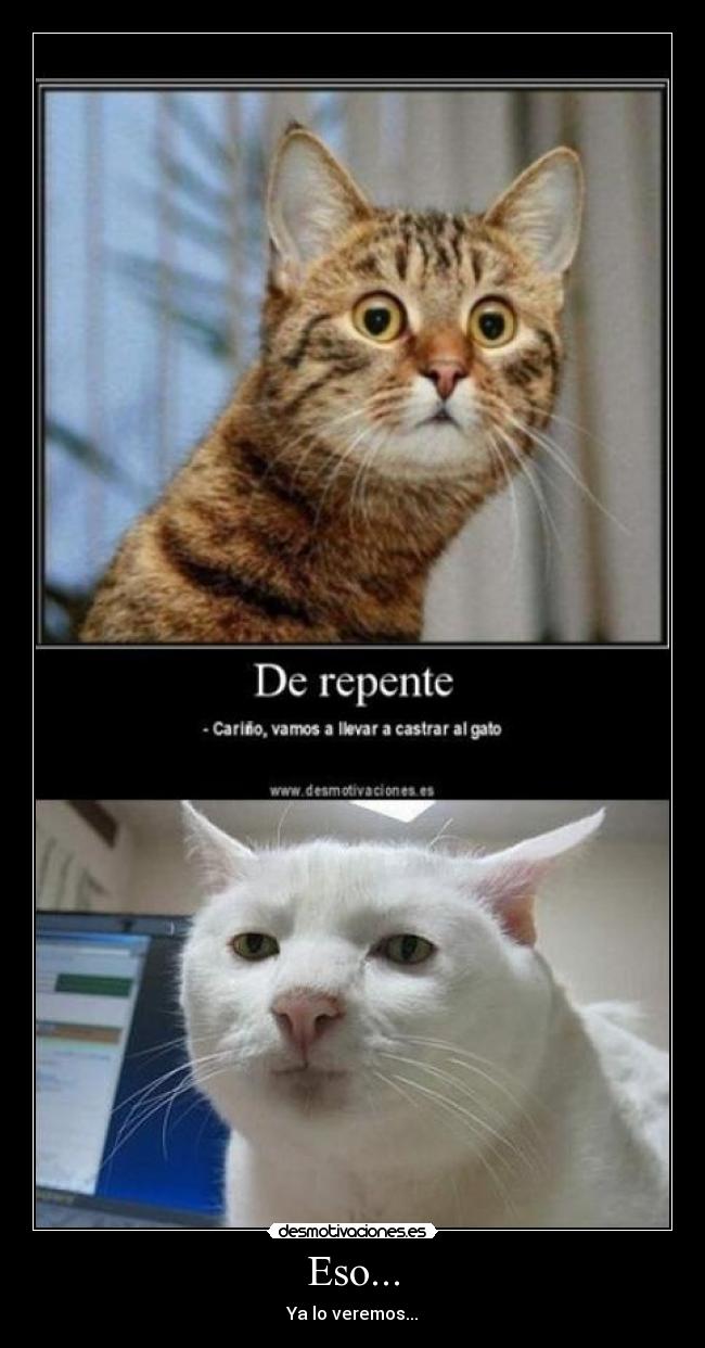 Eso... - Ya lo veremos...