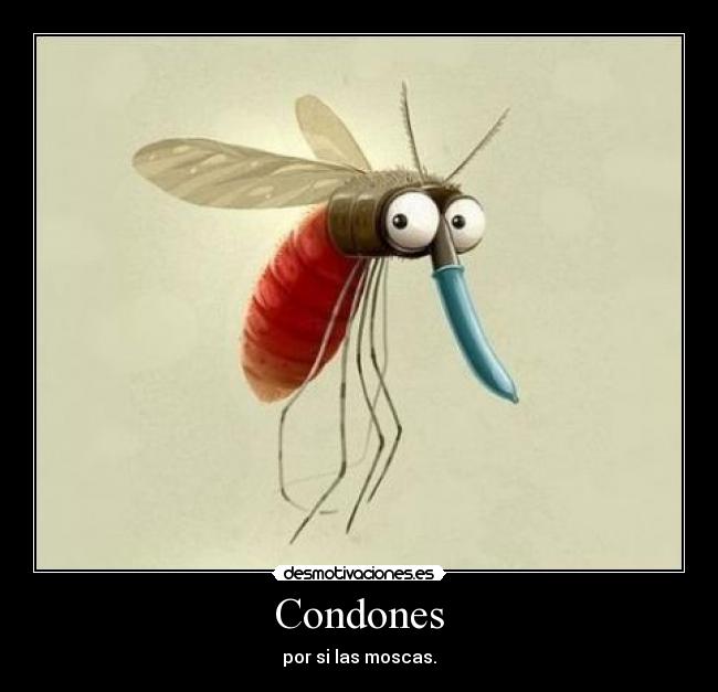 carteles condones por las moscas desmotivaciones