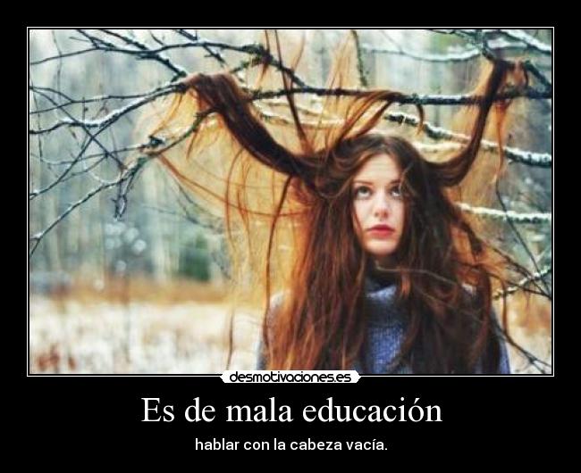 carteles mala educacion cabeza vacia desmotivaciones