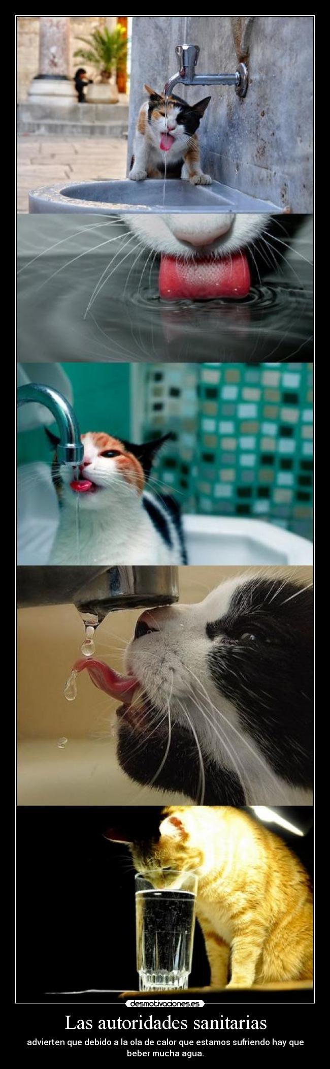 Las autoridades sanitarias - advierten que debido a la ola de calor que estamos sufriendo hay que
beber mucha agua.