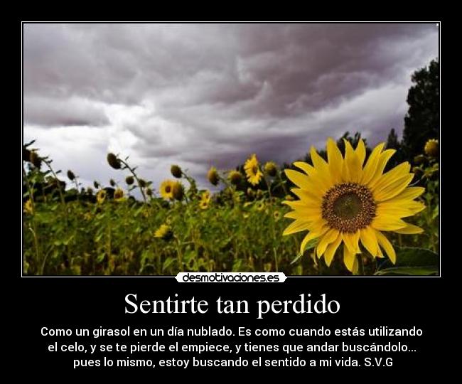 Sentirte tan perdido - Como un girasol en un día nublado. Es como cuando estás utilizando
el celo, y se te pierde el empiece, y tienes que andar buscándolo...
 pues lo mismo, estoy buscando el sentido a mi vida. S.V.G