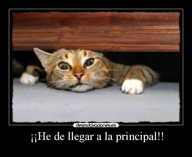 ¡¡He de llegar a la principal!! -