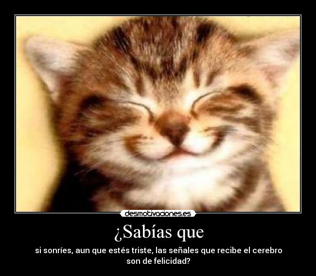 ¿Sabías que - si sonríes, aun que estés triste, las señales que recibe el cerebro son de felicidad?