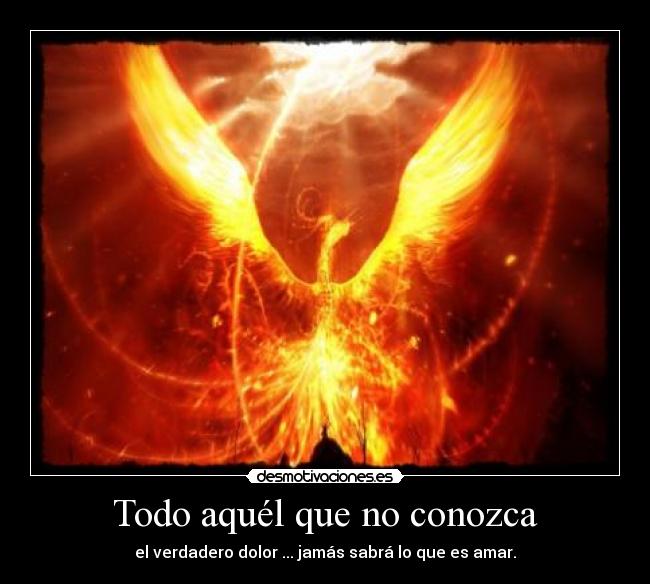 carteles wandersontk desmotivaciones