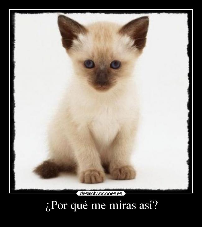 ¿Por qué me miras así? -