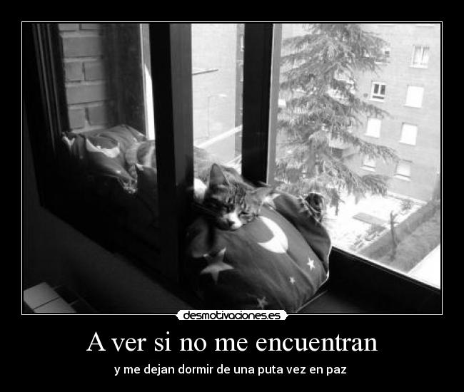 A ver si no me encuentran -