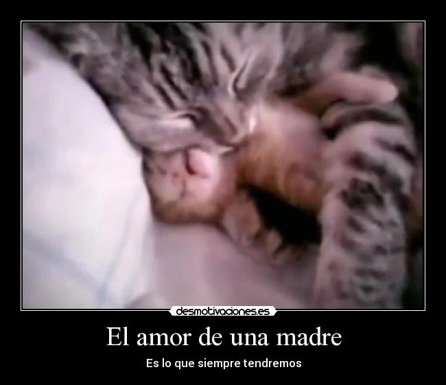El amor de una madre - Es lo que siempre tendremos