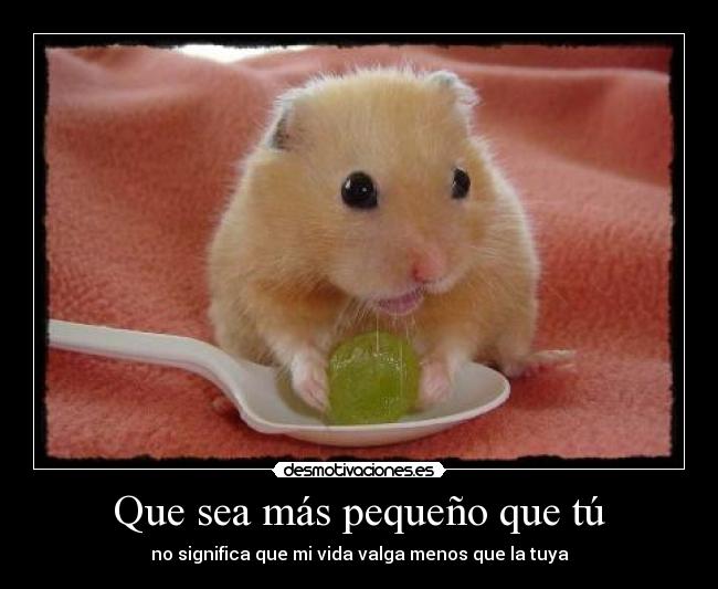 Que sea más pequeño que tú - 