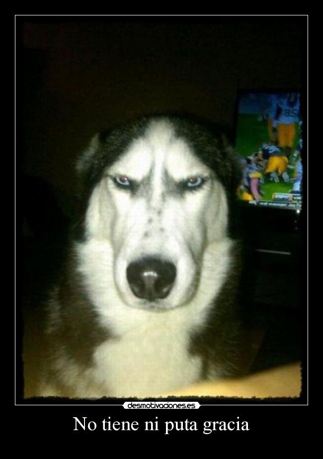 No tiene ni puta gracia -