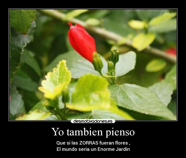 Yo tambien pienso - Que si las ZORRAS fueran flores ,
El mundo seria un Enorme Jardin