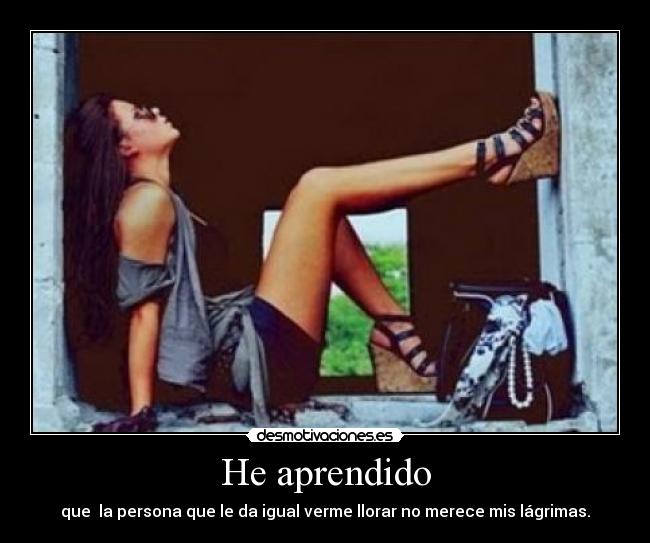 carteles aprendido desmotivaciones