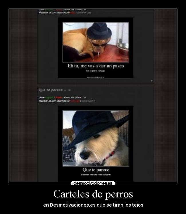 Carteles de perros - en Desmotivaciones.es que se tiran los tejos