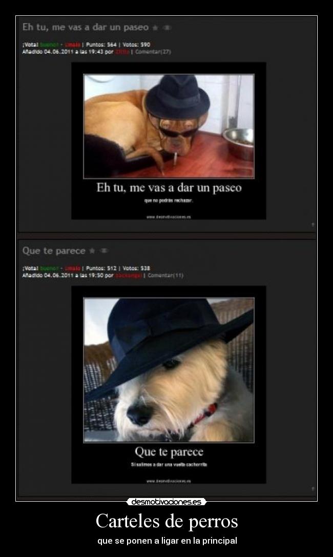 Carteles de perros - 